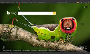 Puss Moth Caterpillar on Todays BING Seach Home Page